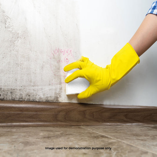 Schmutzradierer - Magic Sponge | 2er Pack